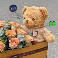 Teddybär mit Kamera – Wi-Fi versteckte Kamera, eingebaut in Plüschtier, inkl. 128 GB SD-Karte