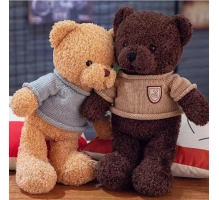 Teddybär mit Kamera – Wi-Fi versteckte Kamera, eingebaut in Plüschtier, inkl. 128 GB SD-Karte