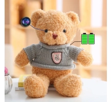 Teddybär mit Kamera – Wi-Fi versteckte Kamera, eingebaut in Plüschtier, inkl. 128 GB SD-Karte
