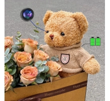 Teddybär mit Kamera – Wi-Fi versteckte Kamera, eingebaut in Plüschtier, inkl. 128 GB SD-Karte